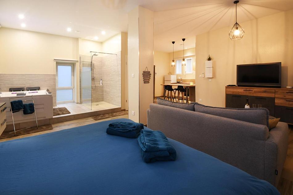 Appartement Loft Detente Strasbourg Eksteriør billede